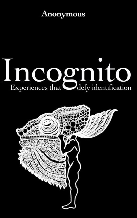 a-i-incognito-cover.jpg